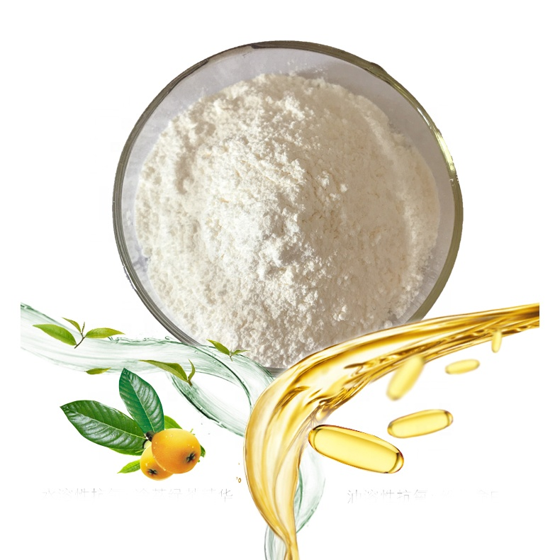 Corosolic Acid Supply High Quality Corosolic Acid 20% Ursolic Acid Powder Cosmetic Grade Loquat Leaf Extract