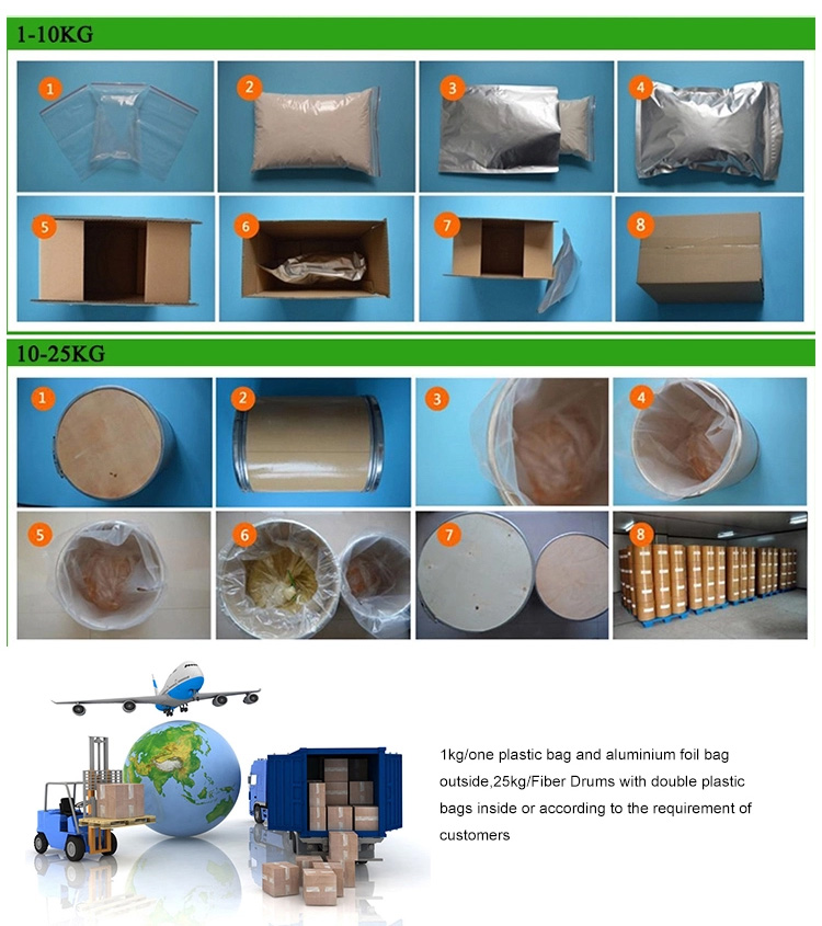 Yerba Mate Extract Factory Supply Bulk Paraguay Tea Yerba Mate Extract Powder