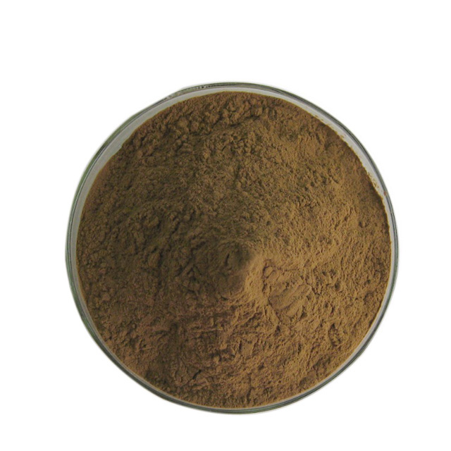 Yerba Mate Extract Factory Supply Bulk Paraguay Tea Yerba Mate Extract Powder
