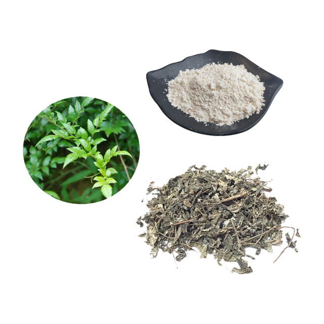 Best Quality Liver Protect Vine Tea Extract Dihydromyricetin DHM 98%
